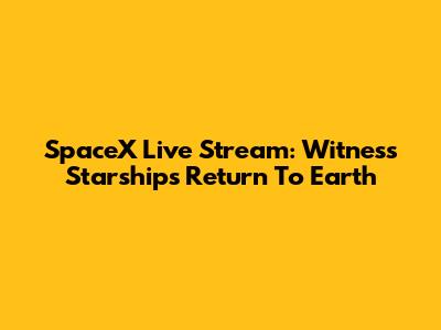 SpaceX Live Stream: Witness Starship's Return To Earth