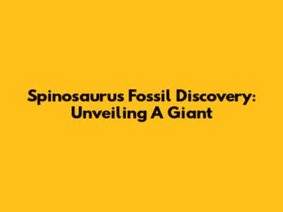 Spinosaurus Fossil Discovery: Unveiling A Giant