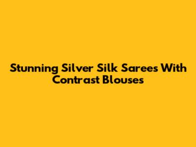 Stunning Silver Silk Sarees With Contrast Blouses