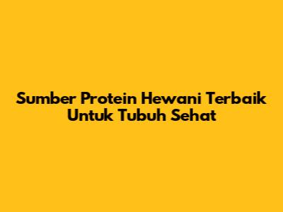 Sumber Protein Hewani Terbaik Untuk Tubuh Sehat