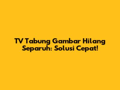 TV Tabung Gambar Hilang Separuh: Solusi Cepat!