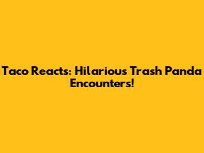 Taco Reacts: Hilarious Trash Panda Encounters!