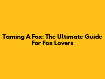 Taming A Fox: The Ultimate Guide For Fox Lovers