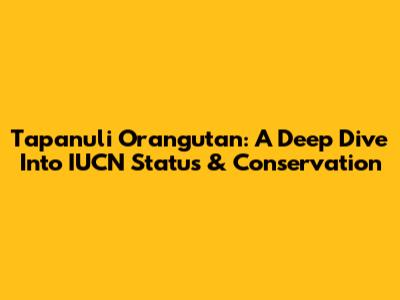 Tapanuli Orangutan: A Deep Dive Into IUCN Status & Conservation