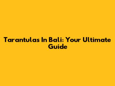 Tarantulas In Bali: Your Ultimate Guide