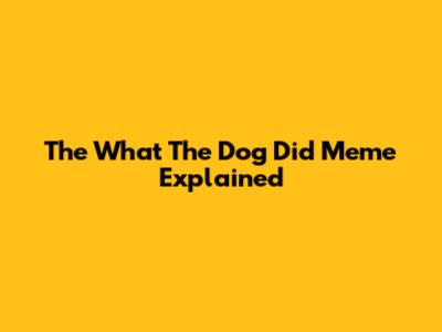 The "What The Dog Did" Meme Explained