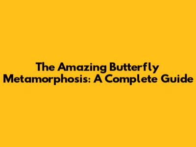 The Amazing Butterfly Metamorphosis: A Complete Guide