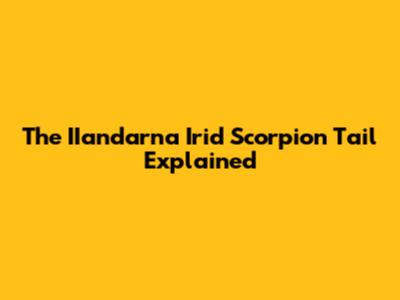 The IIandarna Irid Scorpion Tail Explained