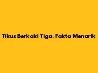 Tikus Berkaki Tiga: Fakta Menarik