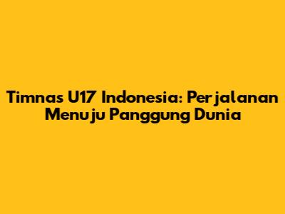 Timnas U17 Indonesia: Perjalanan Menuju Panggung Dunia