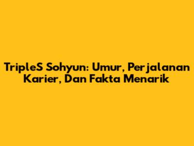 TripleS Sohyun: Umur, Perjalanan Karier, Dan Fakta Menarik