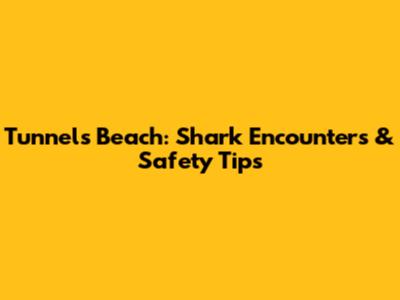 Tunnels Beach: Shark Encounters & Safety Tips