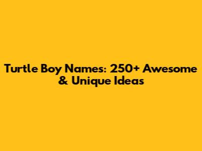 Turtle Boy Names: 250+ Awesome & Unique Ideas
