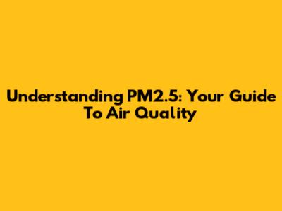 Understanding PM2.5: Your Guide To Air Quality