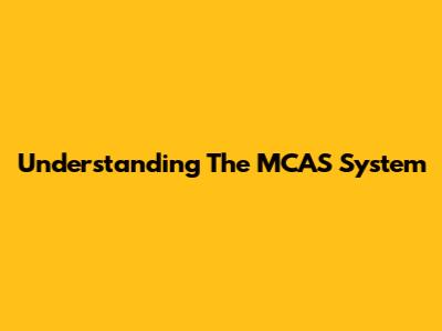 Understanding The MCAS System