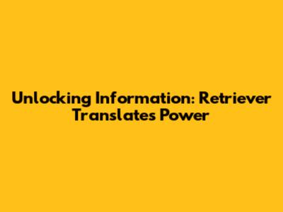 Unlocking Information: Retriever Translate's Power