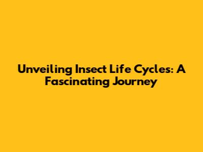 Unveiling Insect Life Cycles: A Fascinating Journey