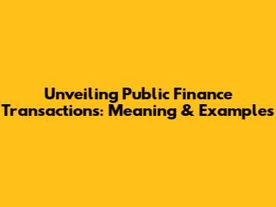 Unveiling Public Finance Transactions: Meaning & Examples
