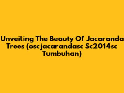 Unveiling The Beauty Of Jacaranda Trees (oscjacarandasc Sc2014sc Tumbuhan)