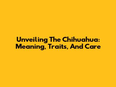 Unveiling The Chihuahua: Meaning, Traits, And Care