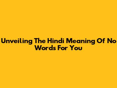 Unveiling The Hindi Meaning Of 'No Words For You'