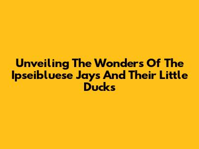 Unveiling The Wonders Of The Ipseibluese Jays And Their Little Ducks