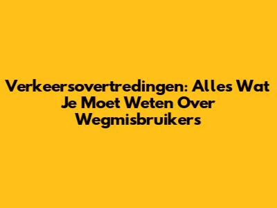 Verkeersovertredingen: Alles Wat Je Moet Weten Over Wegmisbruikers