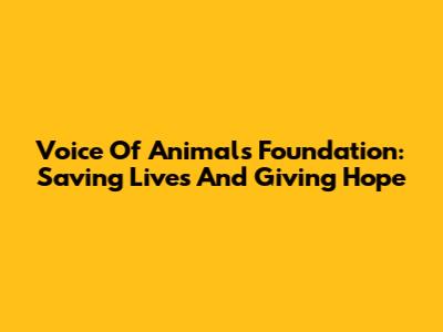 Voice Of Animals Foundation: Saving Lives And Giving Hope