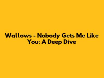 Wallows - Nobody Gets Me Like You: A Deep Dive
