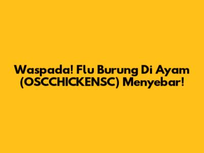 Waspada! Flu Burung Di Ayam (OSCCHICKENSC) Menyebar!