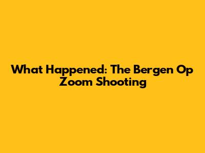 What Happened: The Bergen Op Zoom Shooting