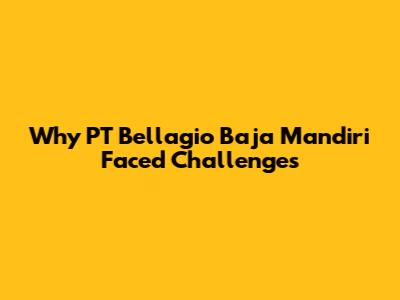 Why PT Bellagio Baja Mandiri Faced Challenges