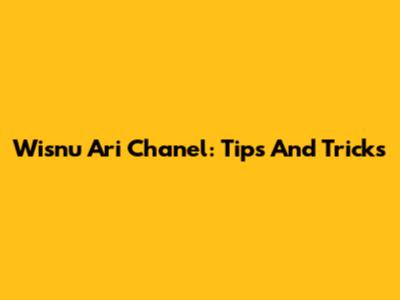 Wisnu Ari Chanel: Tips And Tricks