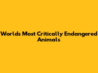 World's Most Critically Endangered Animals