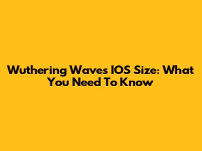 Wuthering Waves IOS Size: What You Need To Know