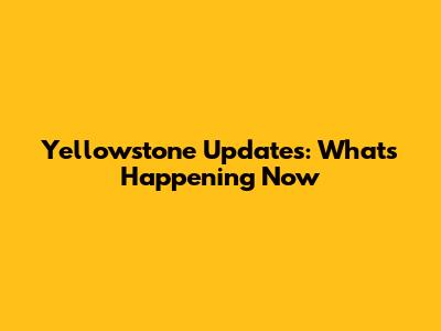 Yellowstone Updates: What's Happening Now